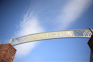 b0120108_1743562.jpg