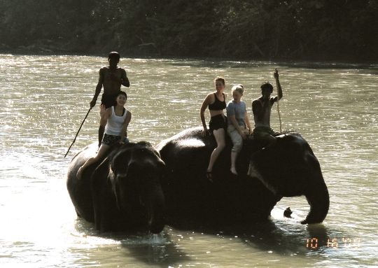 チトワン国立公園（ネパール）での象乗り Chitwan,Nepal_b0051109_8354347.jpg