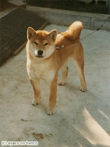 f0079110_1462193.jpg
