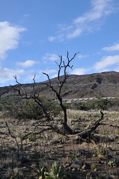 f0046614_22142935.jpg