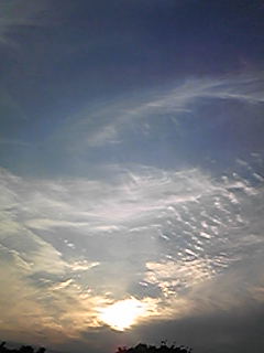 d0035823_1654621.jpg