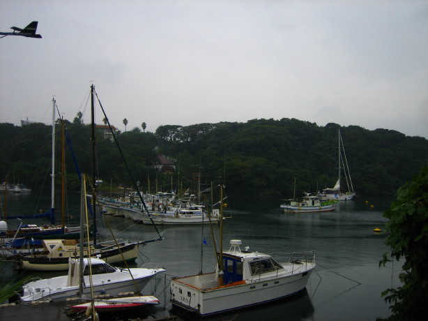 20080928_a0051924_0133285.jpg