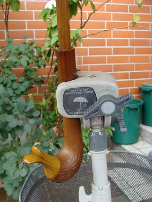 f0170524_1241748.jpg
