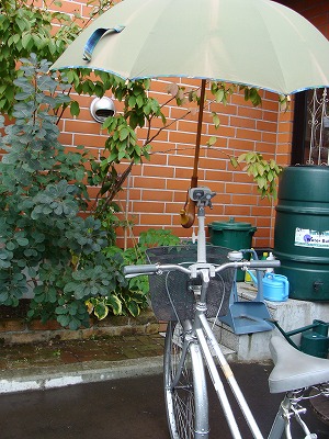 f0170524_1242272.jpg