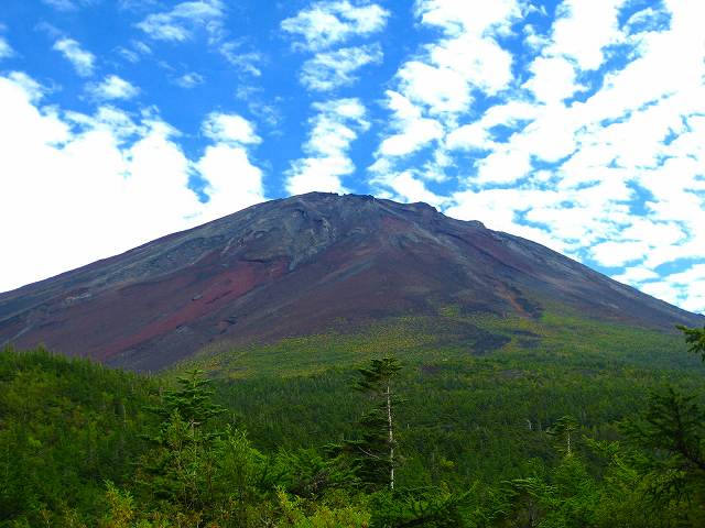 f0100825_2355181.jpg