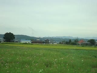 b0110035_2223178.jpg