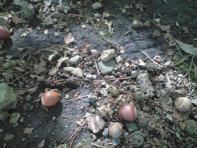 c0106938_0202833.jpg