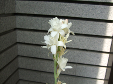 e0097139_1810585.jpg