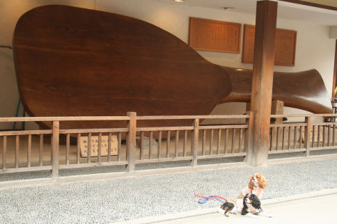 b0143546_0253750.jpg