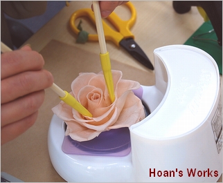 史上最も激安】 プリザーブドフラワー 開花キット フェアリー