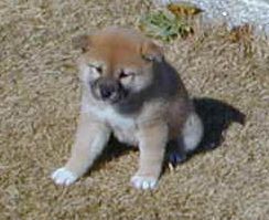2008年10月3日(金)5年目の勝浦生活!_f0060461_19431320.jpg