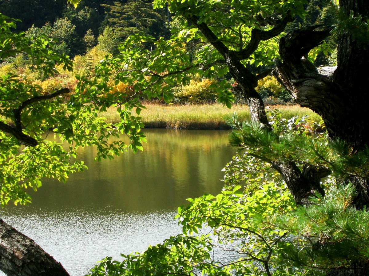 b0067569_0112893.jpg