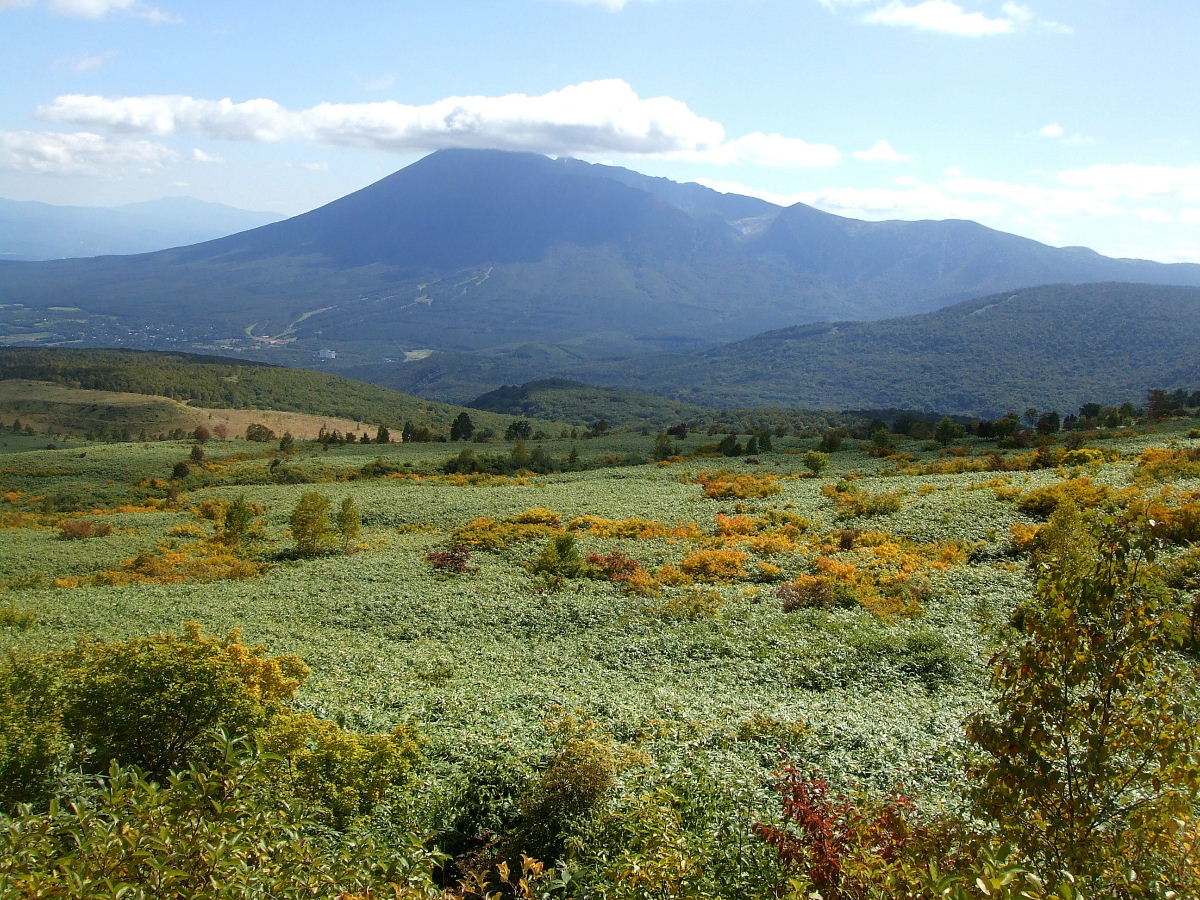 b0067569_035612.jpg