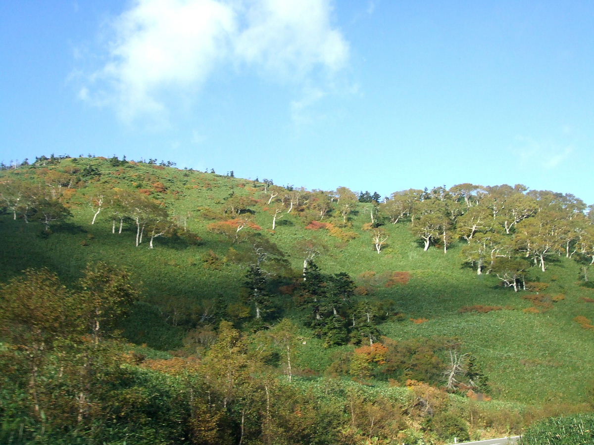 b0067569_045711.jpg