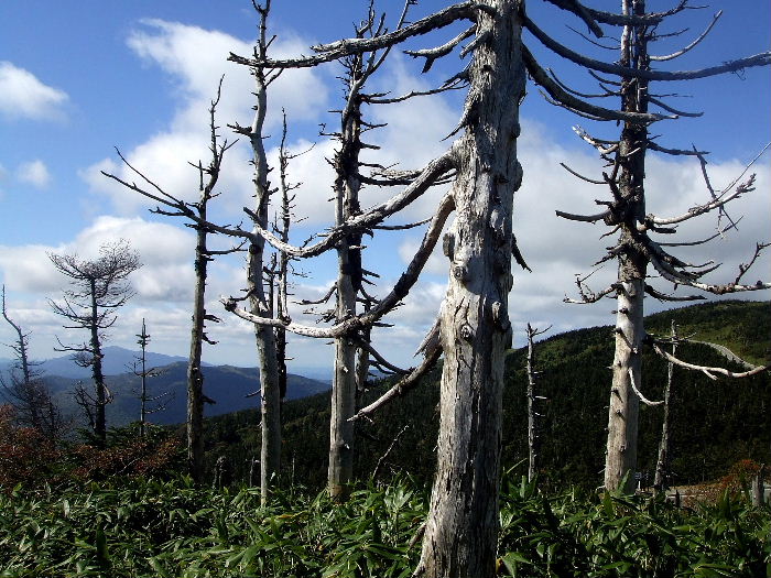 b0067569_054844.jpg