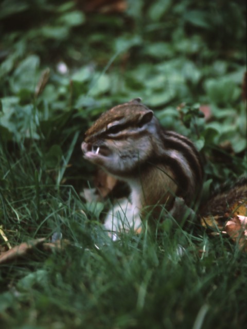 b0074377_21263370.jpg