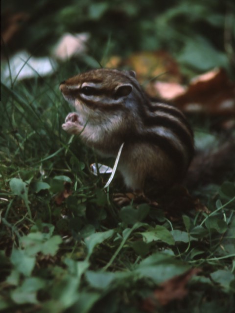 b0074377_21265067.jpg