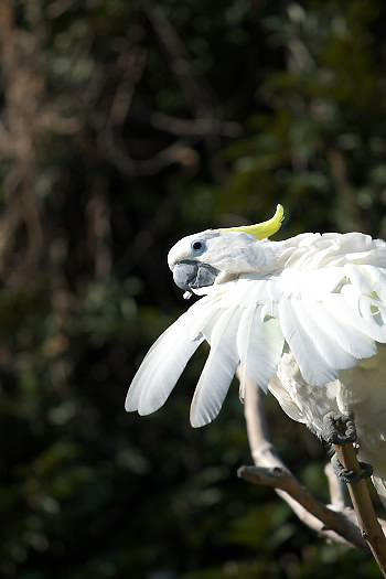 Zoo！_b0069978_1762530.jpg