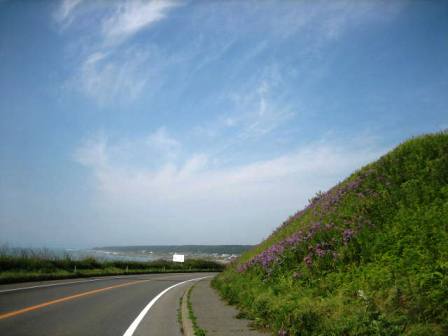 b0097183_14201449.jpg