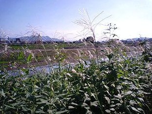 d0133995_2342259.jpg
