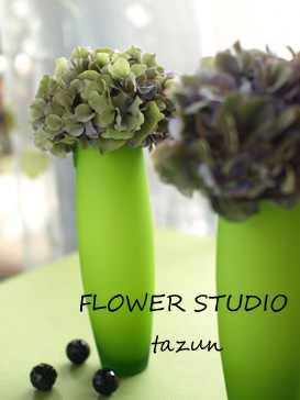 ☆tazun HP OPEN☆_d0144095_1534360.jpg