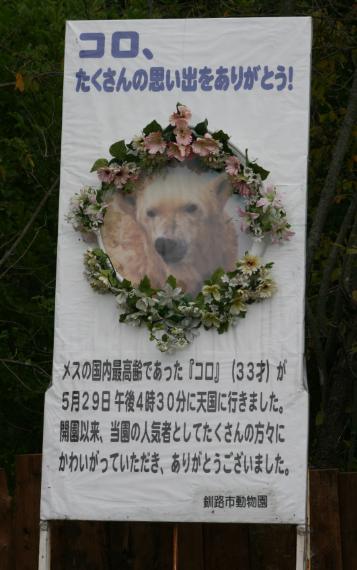 ラブラブⅡ*^-^*_c0155902_1842212.jpg