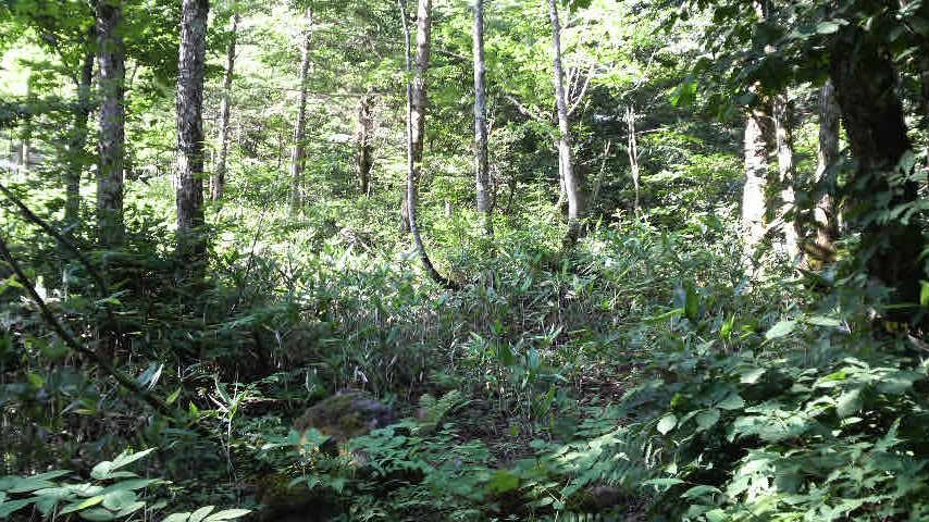 e0015006_14155148.jpg
