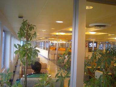 e0113508_2031643.jpg