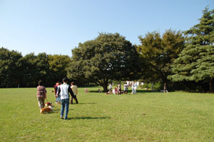 Hawiくん歓迎オフ会_d0102523_2141536.jpg