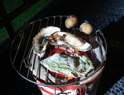 f0060424_23324022.jpg