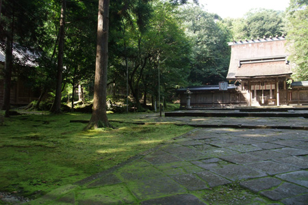 神社を散歩_f0106032_2032090.jpg