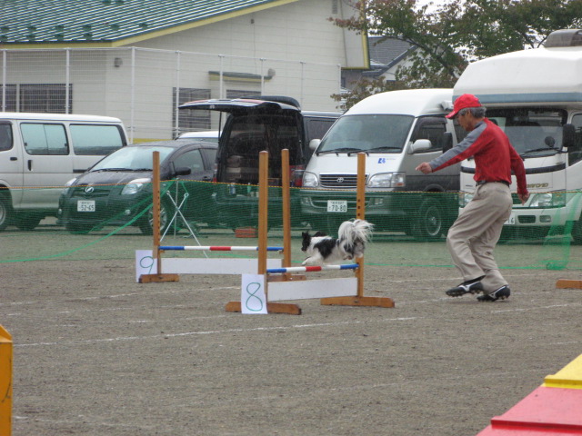 小学校でアジデモ♪_b0130636_18125538.jpg