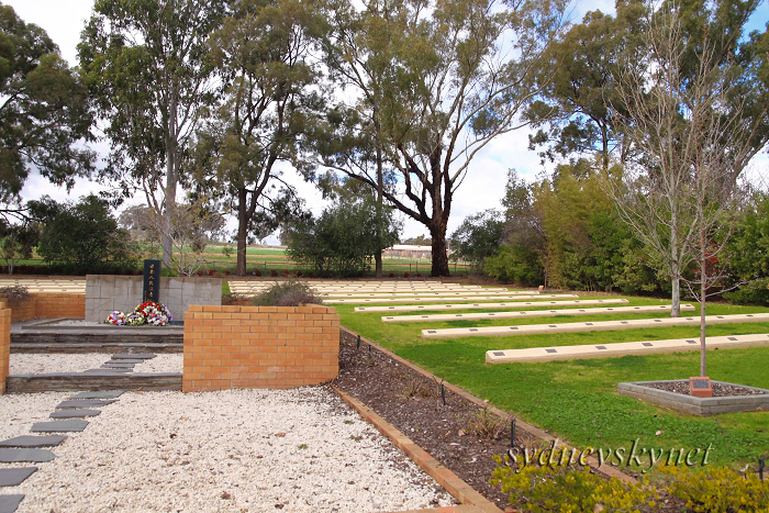 cowra　(カウラ)　～その2～_f0084337_202846100.jpg