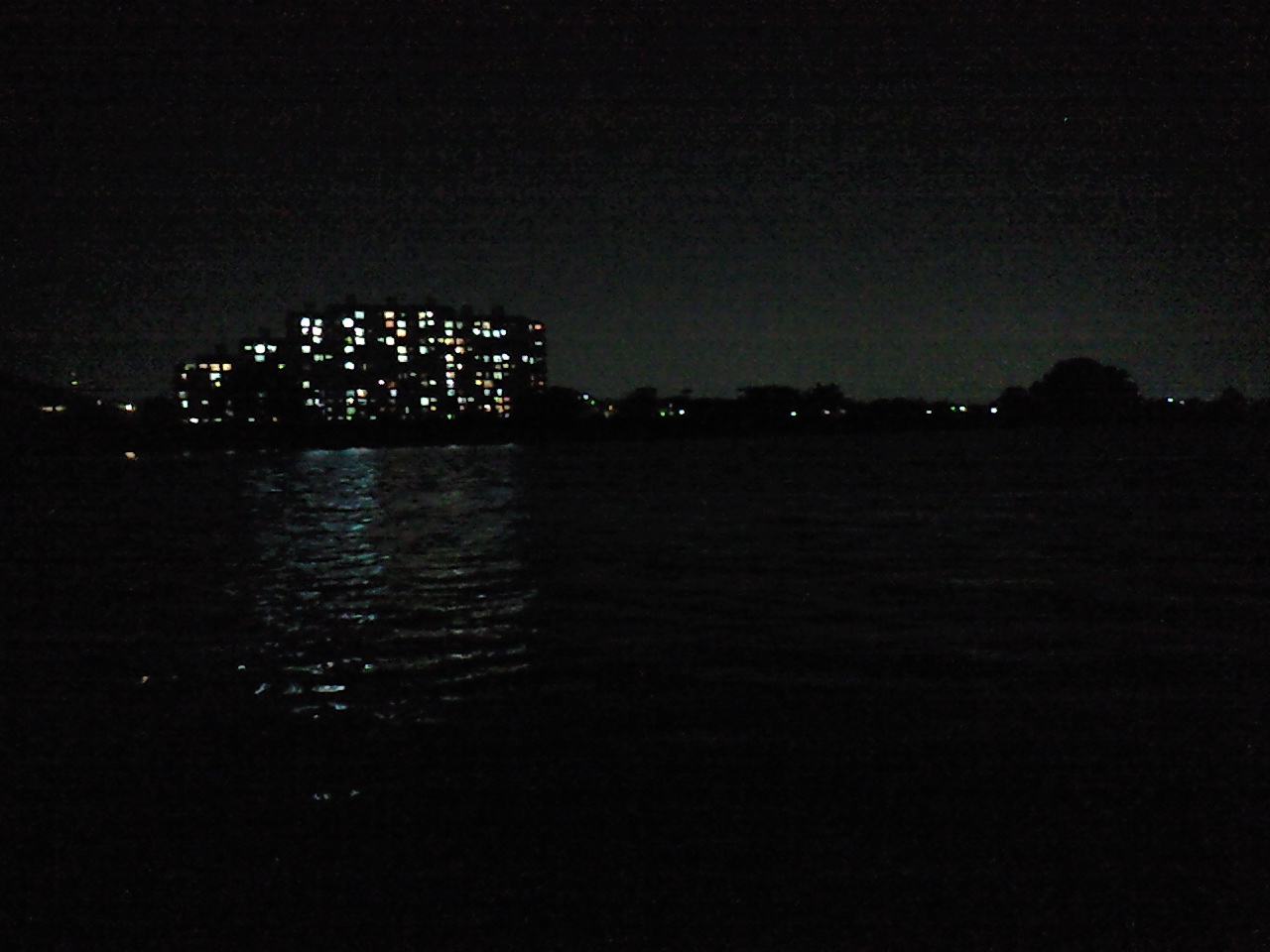 d0108041_2382687.jpg