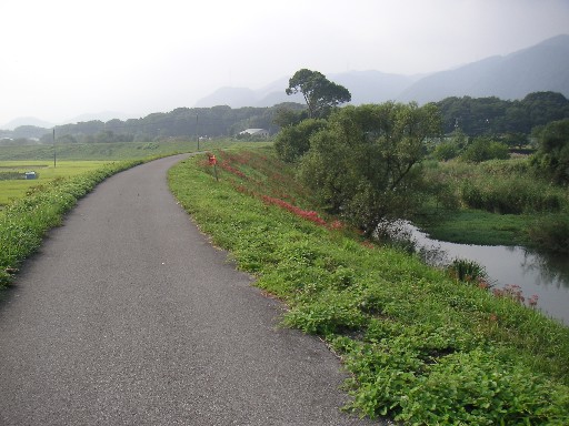 b0088444_2241083.jpg