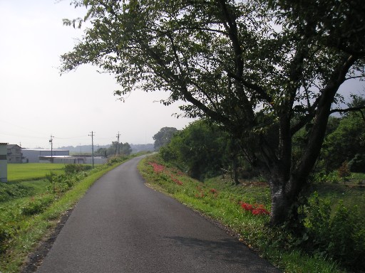 b0088444_226981.jpg
