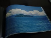c0072847_2345425.jpg