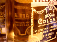 d0000247_15565532.gif
