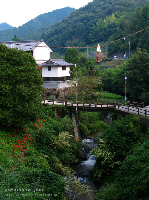 華咲く飛鳥路_c0159952_2541311.jpg