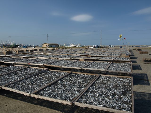 b0126256_20365932.jpg