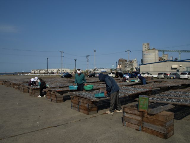 b0126256_20402210.jpg