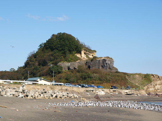 d0153062_9454639.jpg