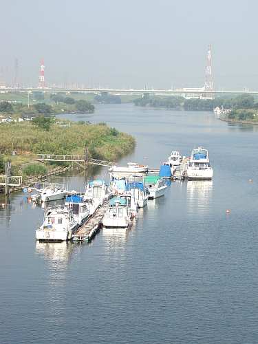 本日は、土曜日、彩湖20Km_f0166066_10335142.jpg