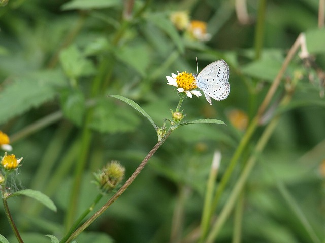 b0135573_827487.jpg