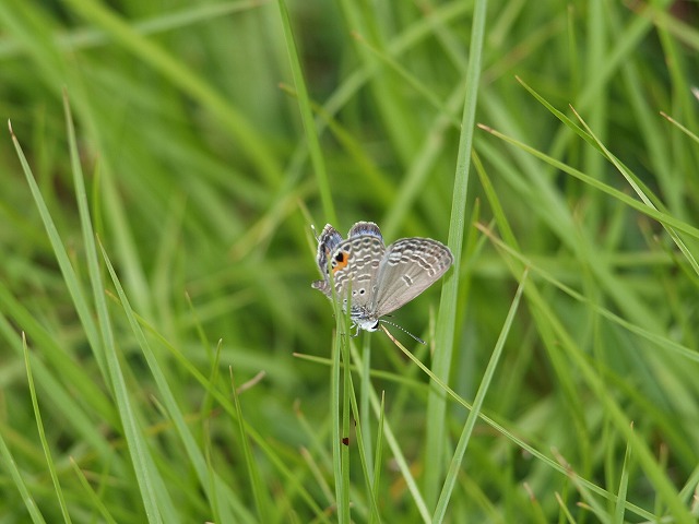 b0135573_8282657.jpg