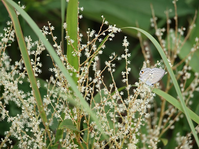 b0135573_828840.jpg