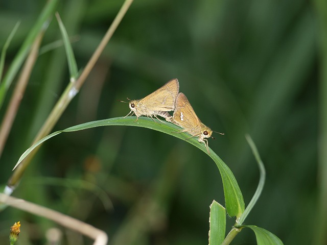 b0135573_8291919.jpg