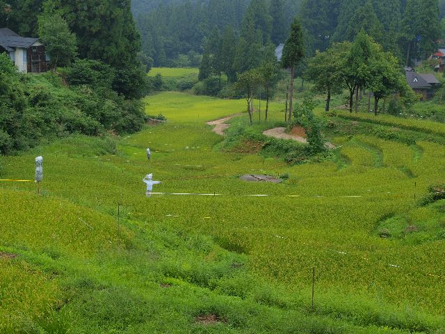 a0025576_19311015.jpg