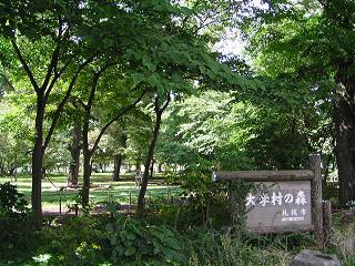 f0078286_20162045.jpg