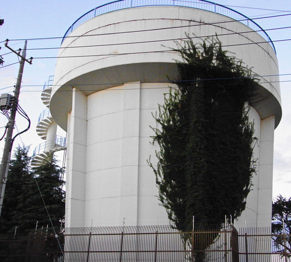 d0134896_1232347.jpg
